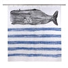 Whale Sketch Shower Curtain - Cobalt