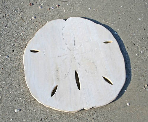 Wooden Sand Dollar Silhouette
